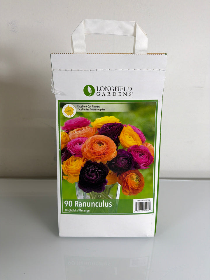 Variety Flower Bulbs