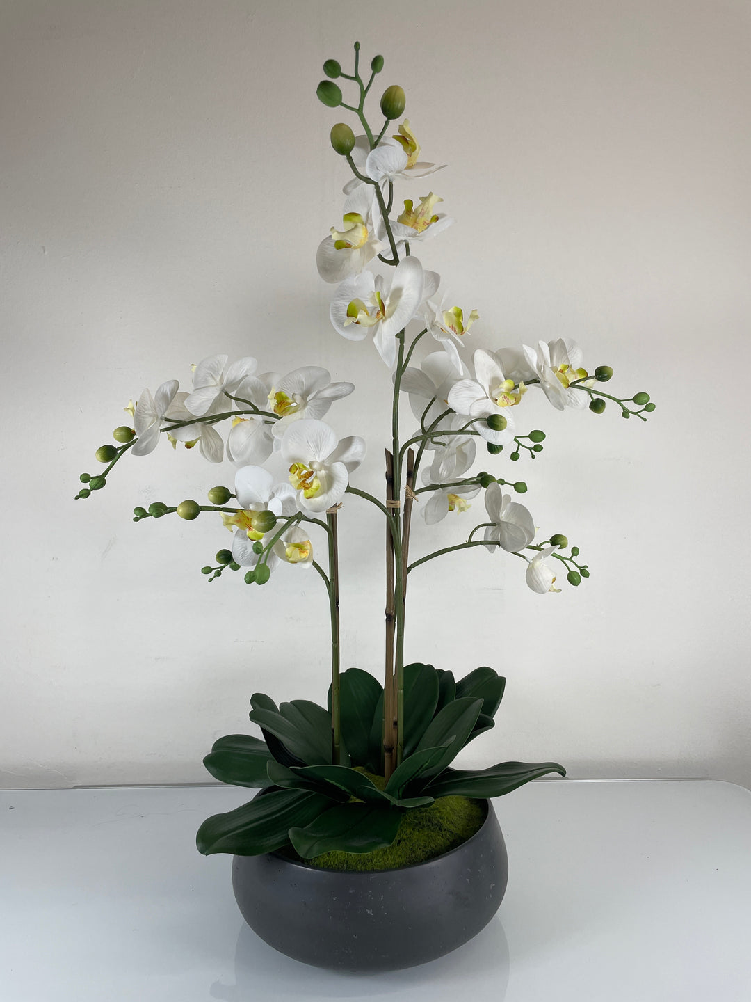 Faux 24” Artificial Phalaenopsis Orchid