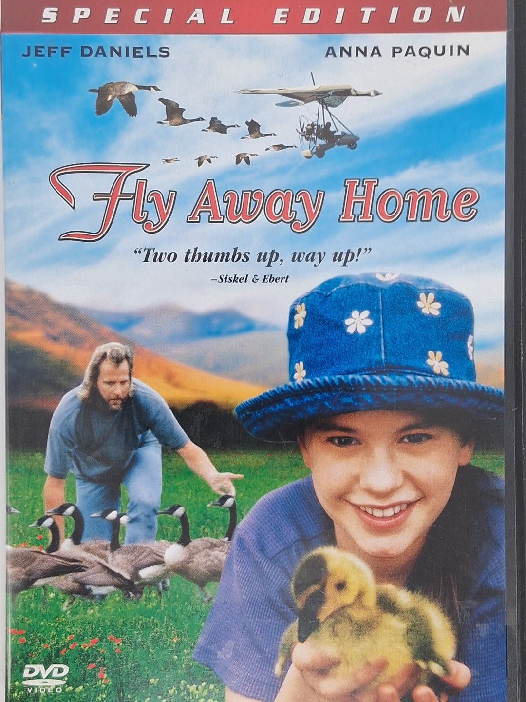 DVD - Fly Away Home