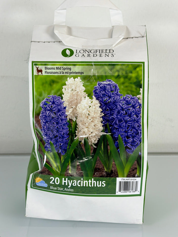 Variety Flower Bulbs