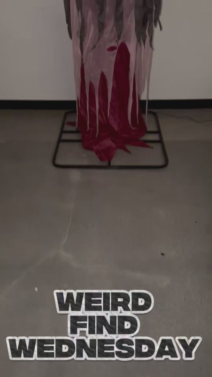 12’ Animated Witch with LED Eyes